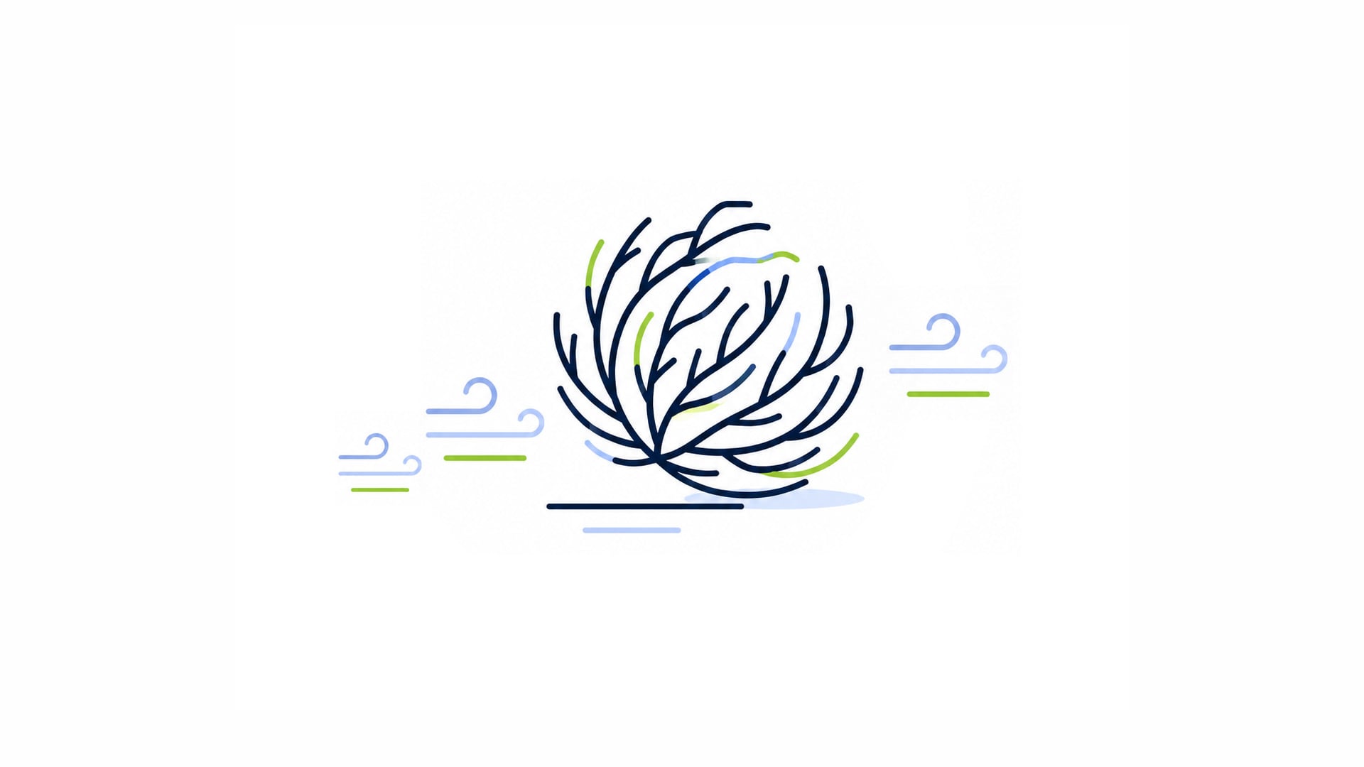 What Happens After Your Website Goes Live?