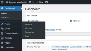 WordPress Posts