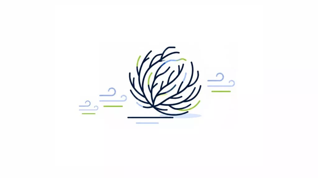 What Happens After Your Website Goes Live?