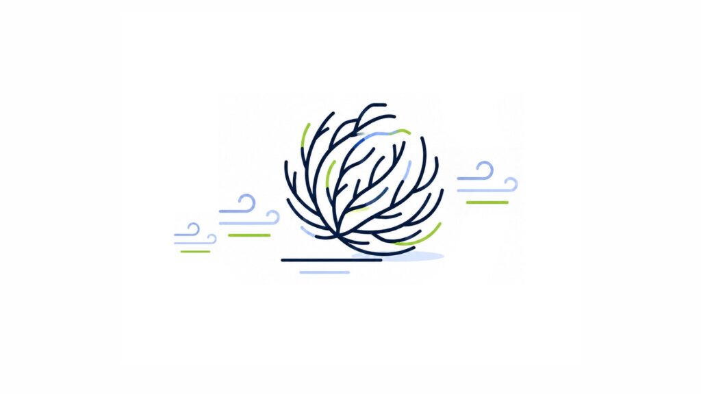 What Happens After Your Website Goes Live?